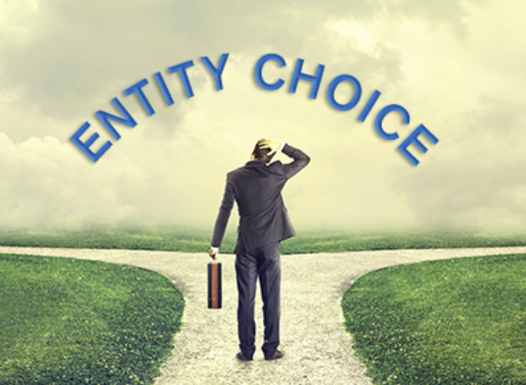 Which Entity Is Most Suitable For Your New Or Existing Business?